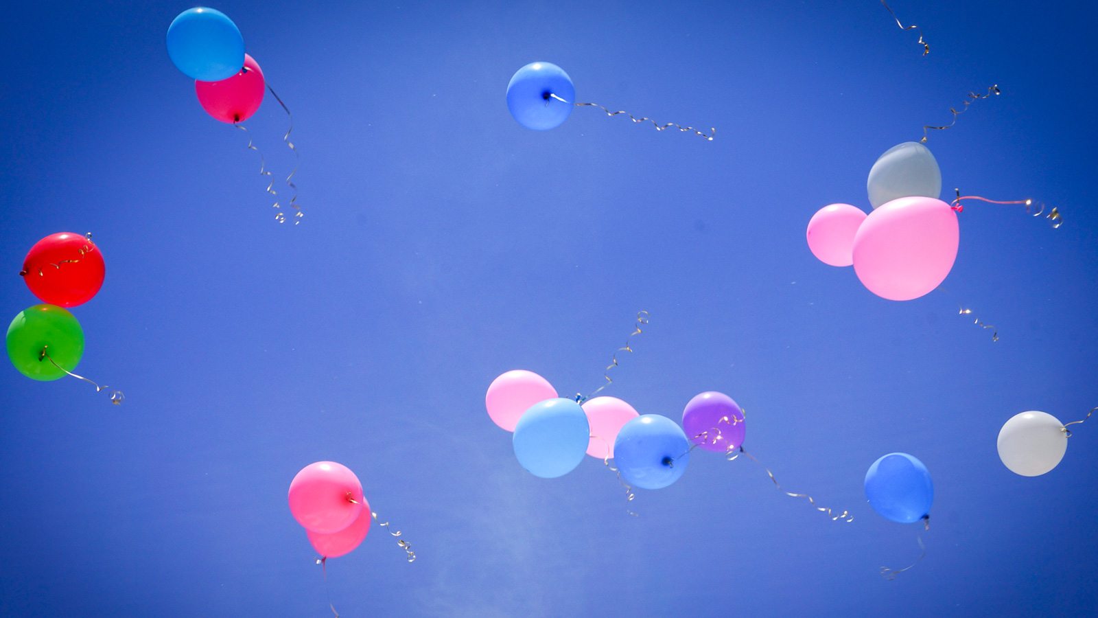 AWH Holzminden warnt vor Umweltfolgen von Luftballons und empfiehlt nachhaltige Alternativen für Feiern